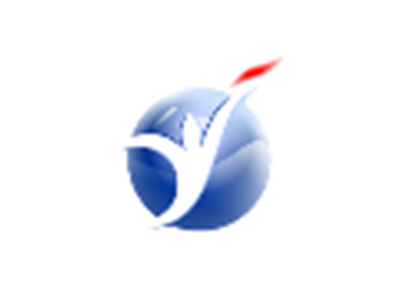 Partner 11